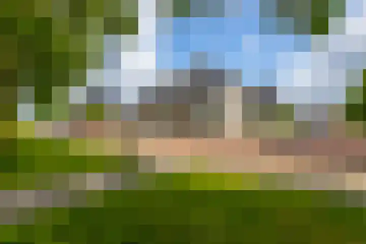 Rijshaak 1 Werkendam thumbnail 6