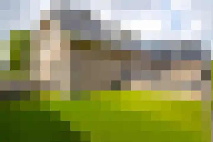 Rijshaak 1 Werkendam thumbnail 60