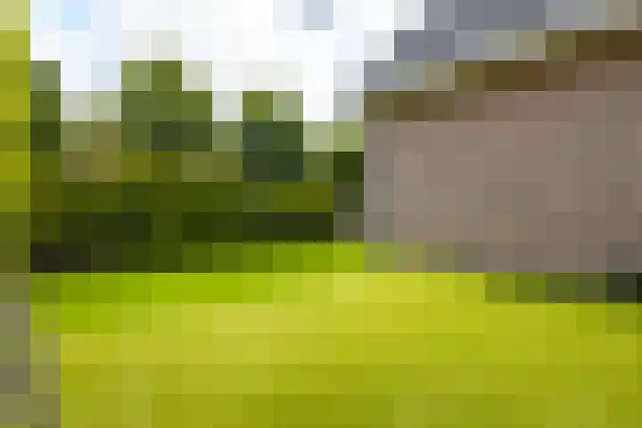 Rijshaak 1 Werkendam thumbnail 61