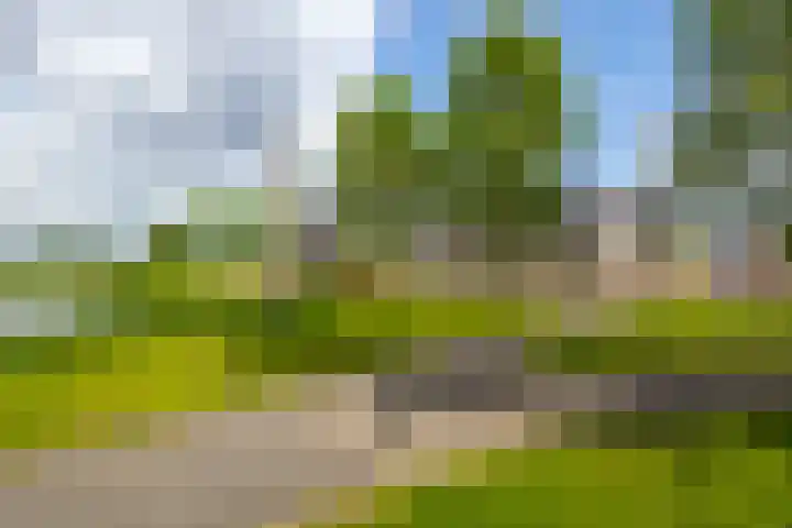 Rijshaak 1 Werkendam thumbnail 62