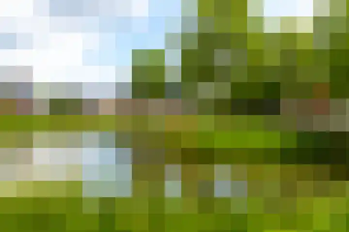 Rijshaak 1 Werkendam thumbnail 64