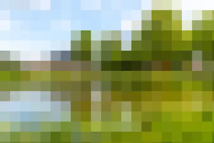 Rijshaak 1 Werkendam thumbnail 65
