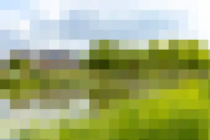 Rijshaak 1 Werkendam thumbnail 66