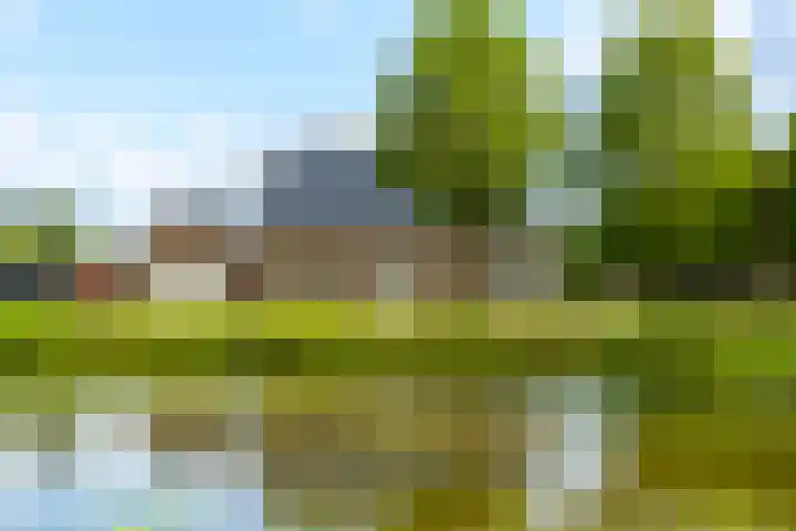 Rijshaak 1 Werkendam thumbnail 67