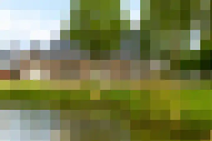 Rijshaak 1 Werkendam thumbnail 68