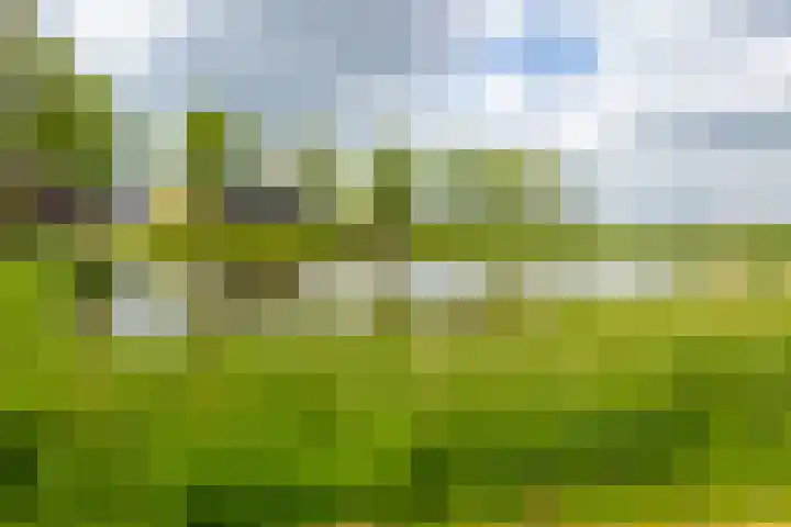 Rijshaak 1 Werkendam thumbnail 69