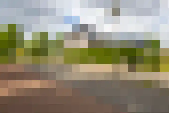 Rijshaak 1 Werkendam thumbnail 7