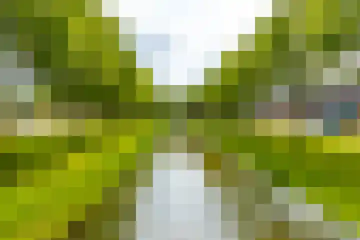 Rijshaak 1 Werkendam thumbnail 70
