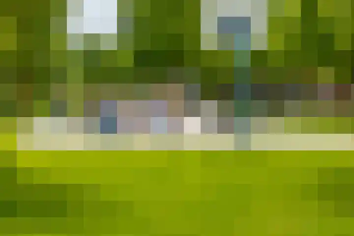 Rijshaak 1 Werkendam thumbnail 71