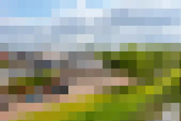 Rijshaak 1 Werkendam thumbnail 72
