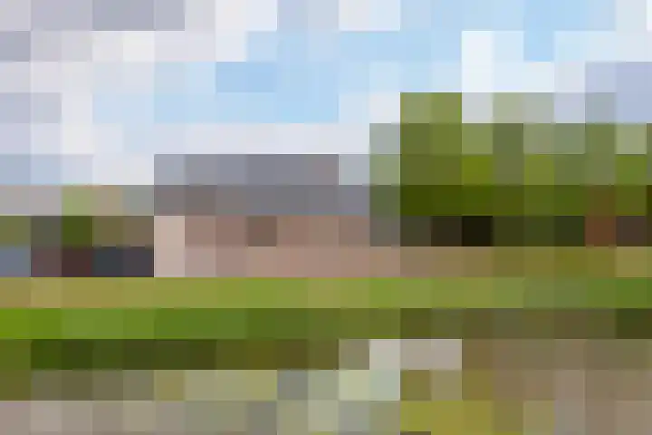 Rijshaak 1 Werkendam thumbnail 73