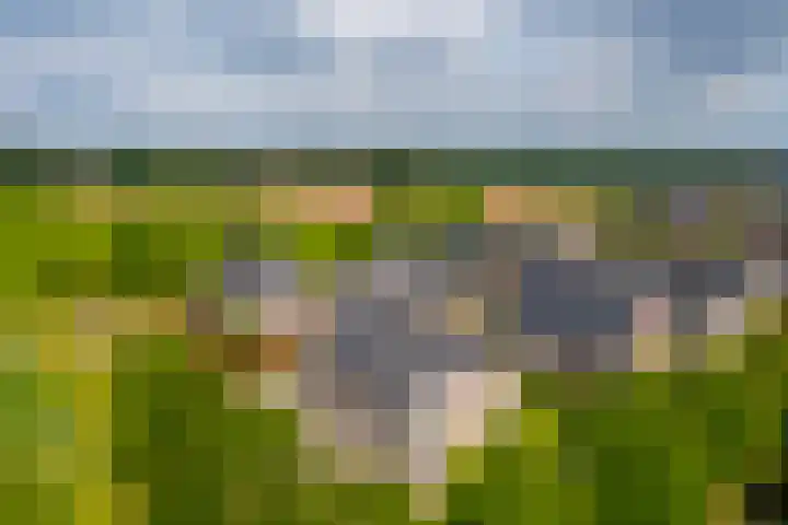 Rijshaak 1 Werkendam thumbnail 74