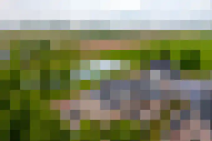 Rijshaak 1 Werkendam thumbnail 75