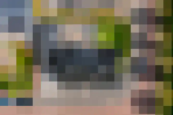 Rijshaak 1 Werkendam thumbnail 76