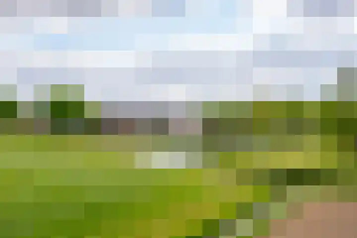 Rijshaak 1 Werkendam thumbnail 77