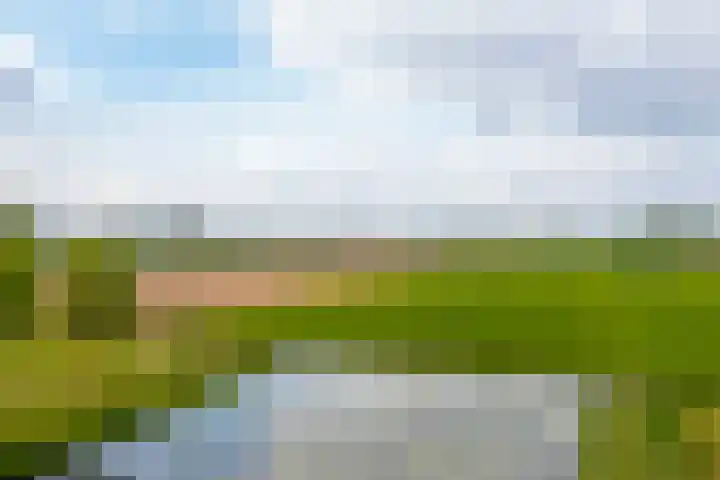 Rijshaak 1 Werkendam thumbnail 78
