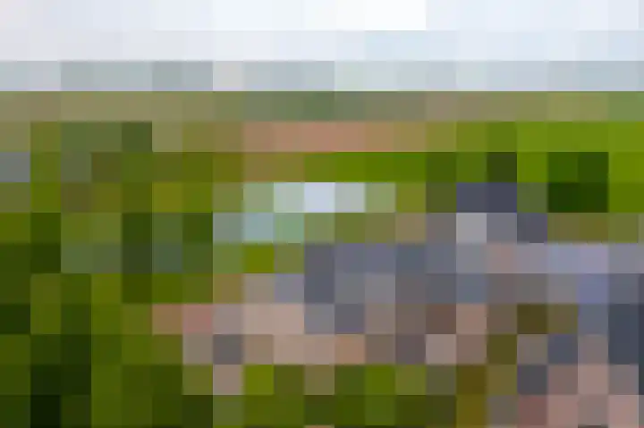 Rijshaak 1 Werkendam thumbnail 82