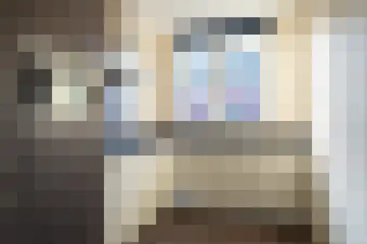 Rijshaak 15 Werkendam thumbnail 11