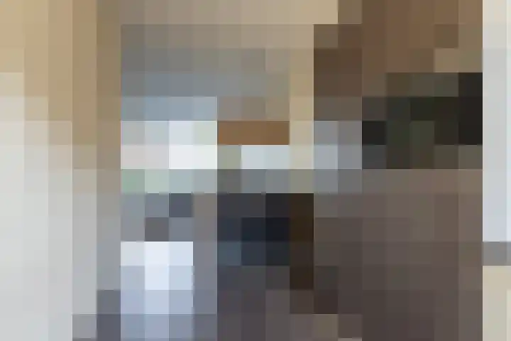 Rijshaak 15 Werkendam thumbnail 12