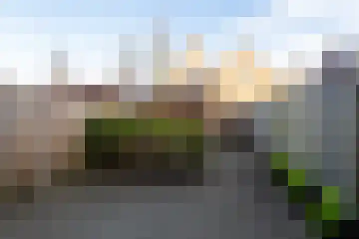 Rijshaak 15 Werkendam thumbnail 22