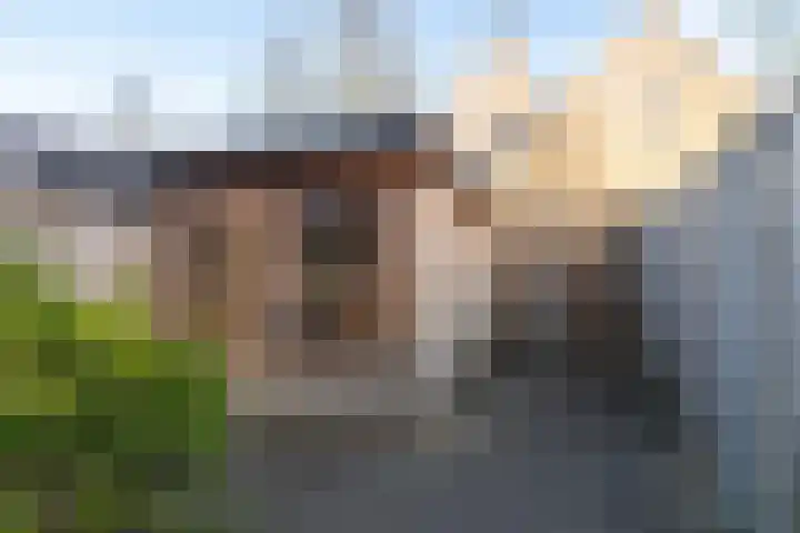 Rijshaak 15 Werkendam thumbnail 23