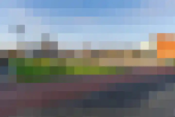 Rijshaak 15 Werkendam thumbnail 4