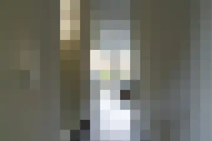Rijshaak 15 Werkendam thumbnail 7