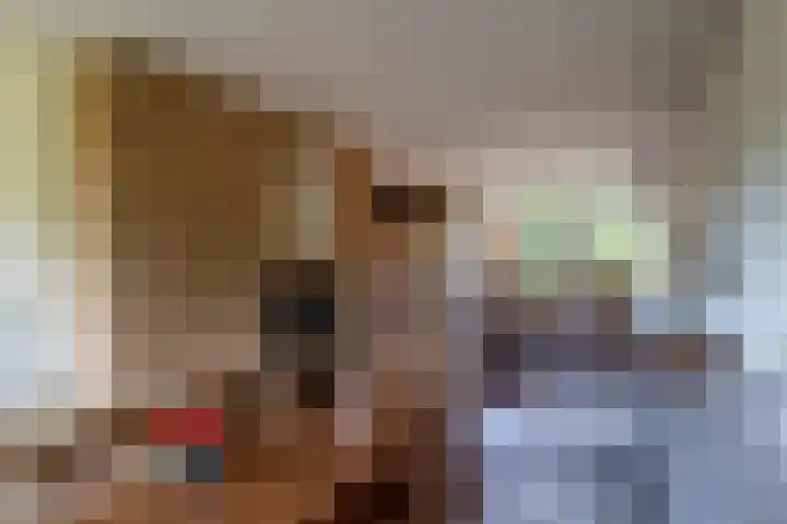 Rijshornplein 3 Rijsenhout thumbnail 13