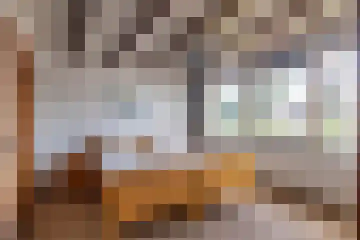 Rijshornplein 3 Rijsenhout thumbnail 22