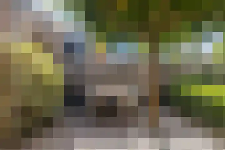 Rijshornplein 3 Rijsenhout thumbnail 34