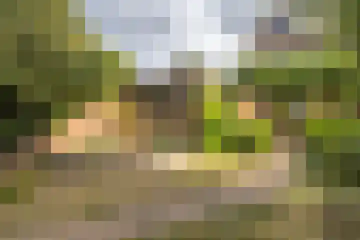 Rijshornplein 3 Rijsenhout thumbnail 35
