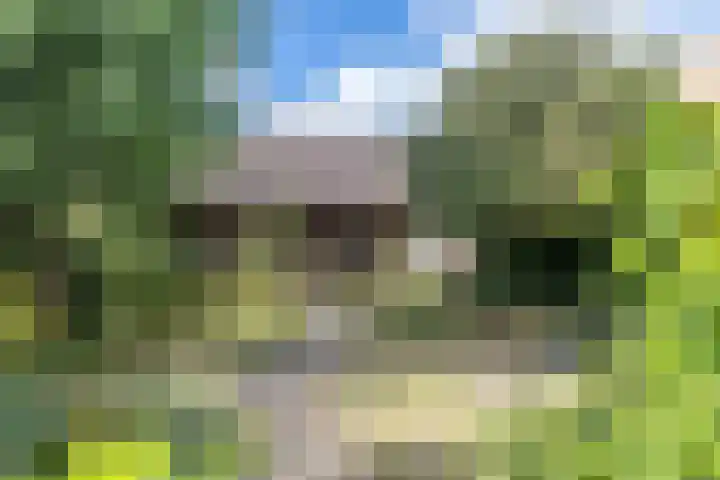 Rijshornplein 3 Rijsenhout thumbnail 36
