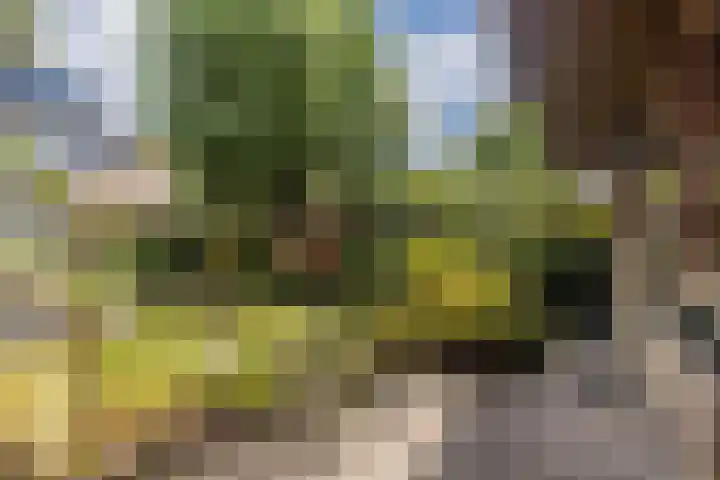 Rijshornplein 3 Rijsenhout thumbnail 37