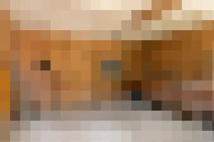 Rijshornplein 3 Rijsenhout thumbnail 38