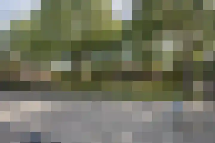 Rijshornplein 3 Rijsenhout thumbnail 43