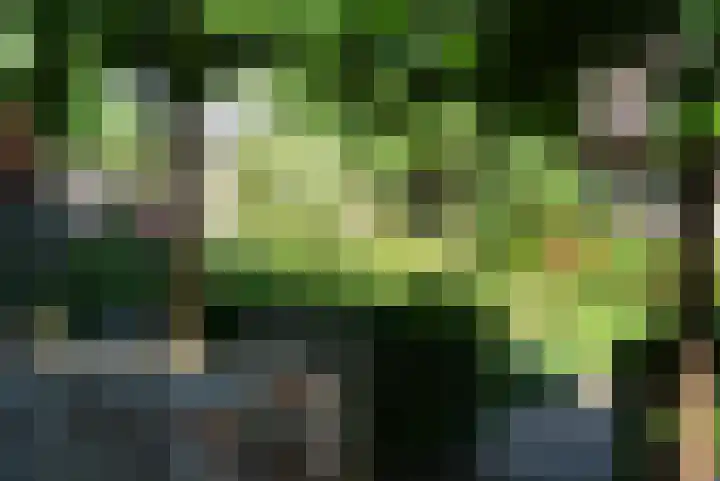 Rijshornplein 3 Rijsenhout thumbnail 44