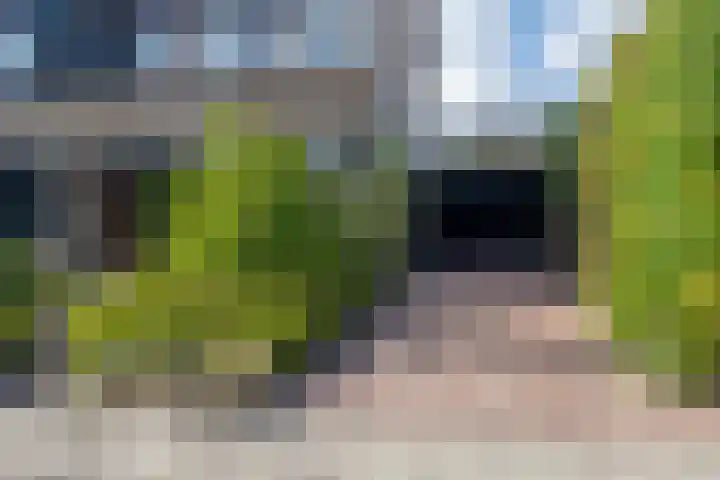 Rijshornplein 3 Rijsenhout thumbnail 6
