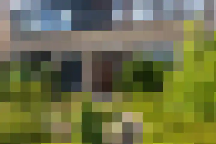 Rijshornplein 3 Rijsenhout thumbnail 7
