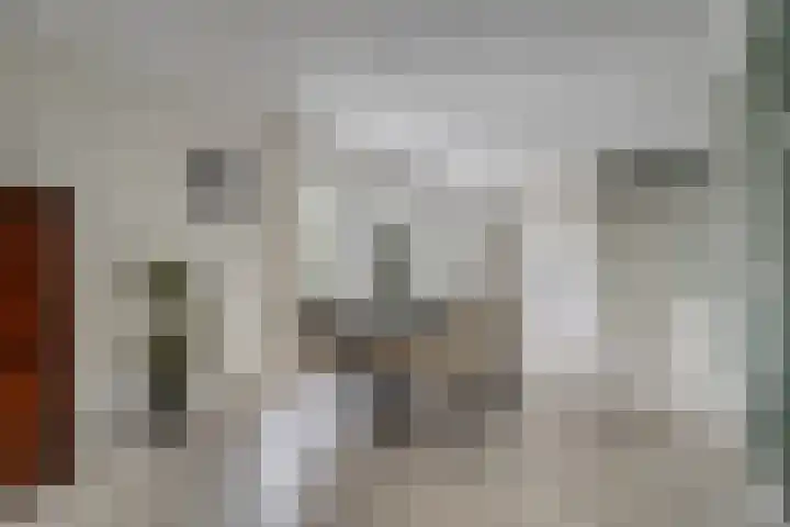 Rijshornstraat 85 Rijsenhout thumbnail 17