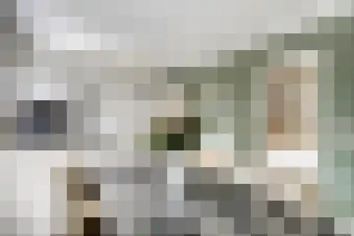 Rijshornstraat 85 Rijsenhout thumbnail 18