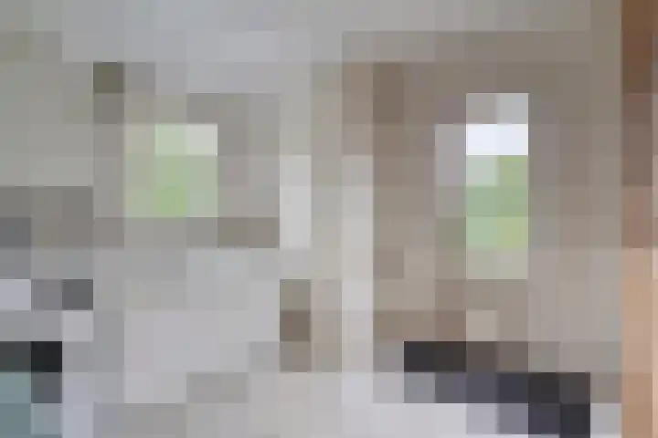 Rijshornstraat 85 Rijsenhout thumbnail 21