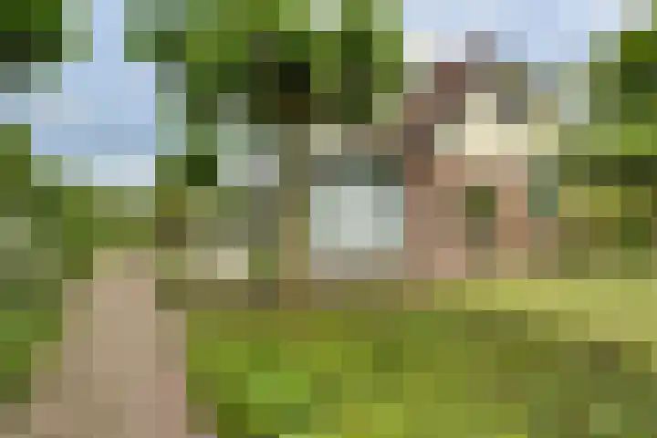 Rijshornstraat 85 Rijsenhout thumbnail 23