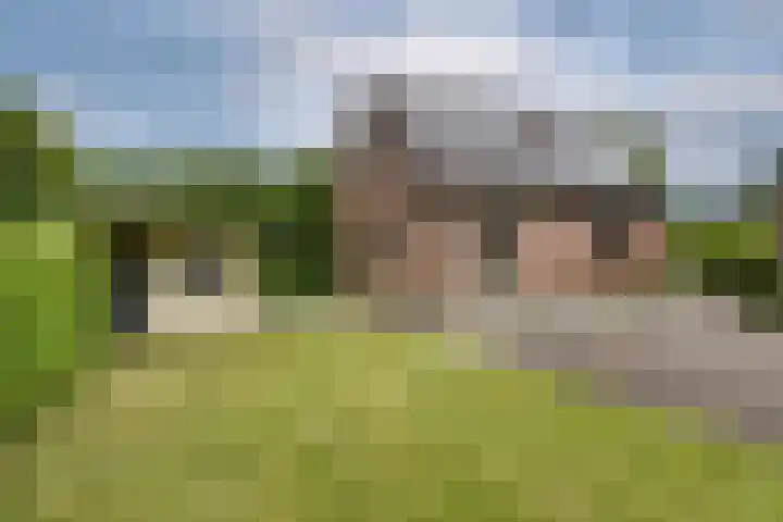 Rijshornstraat 85 Rijsenhout thumbnail 4