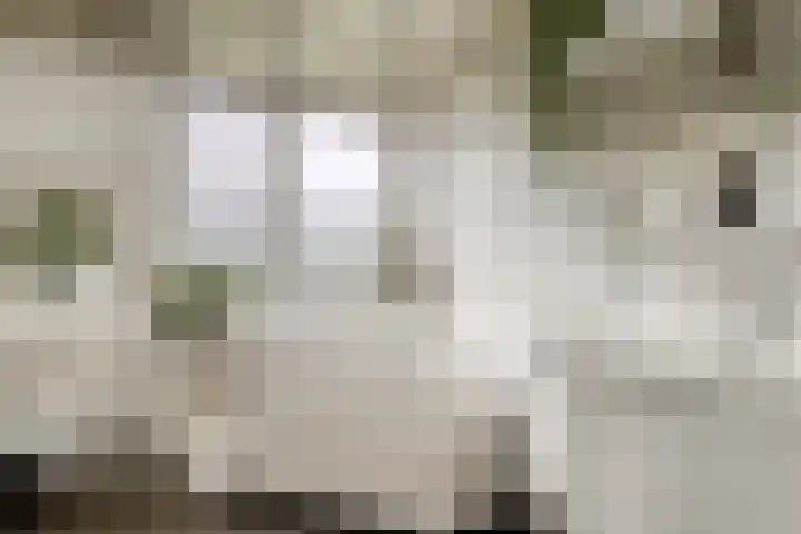 Rijshornstraat 85 Rijsenhout thumbnail 40