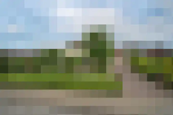 Rijshornstraat 85 Rijsenhout thumbnail 49