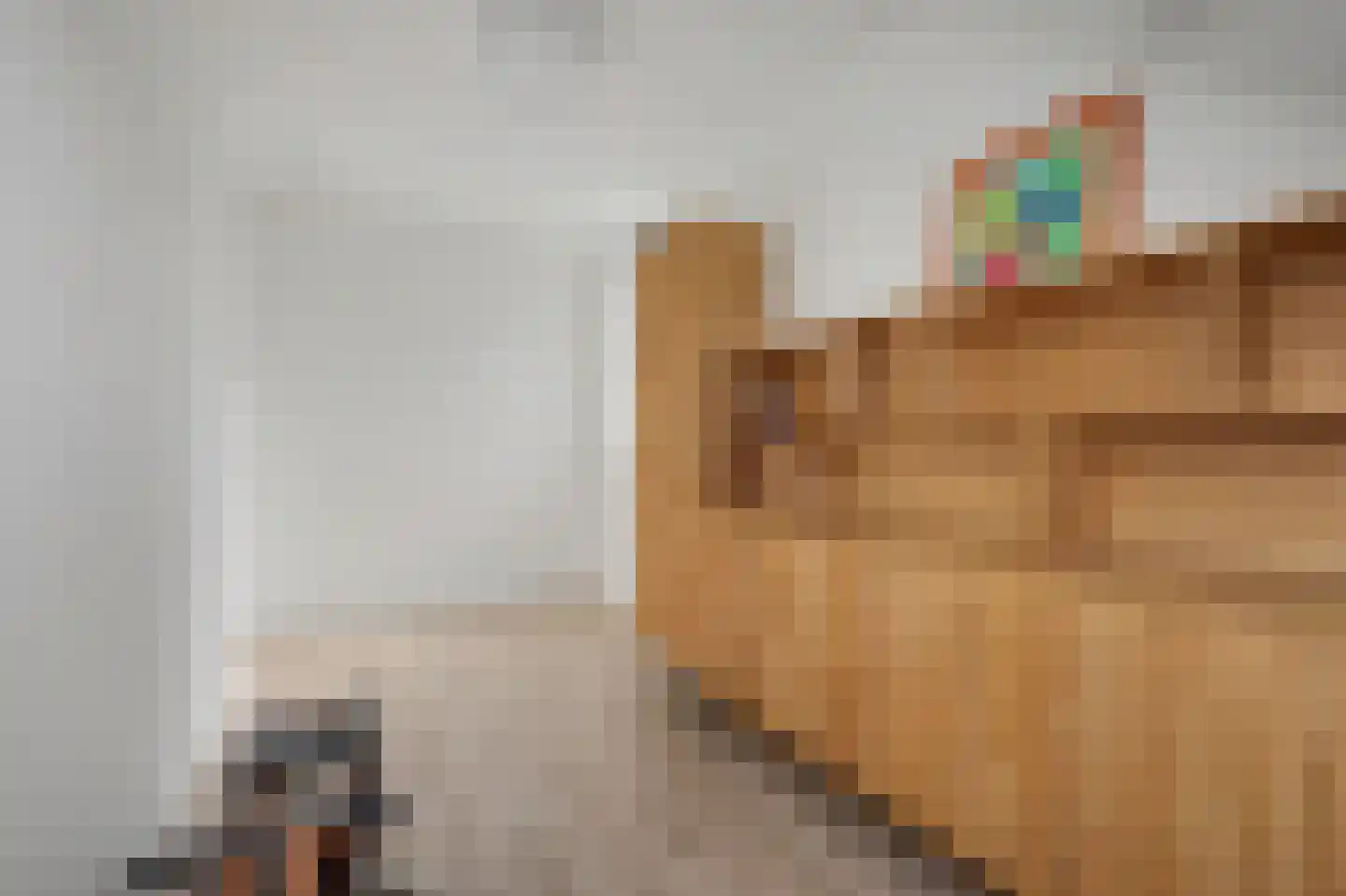 Rijshout 12 Doornenburg thumbnail 25