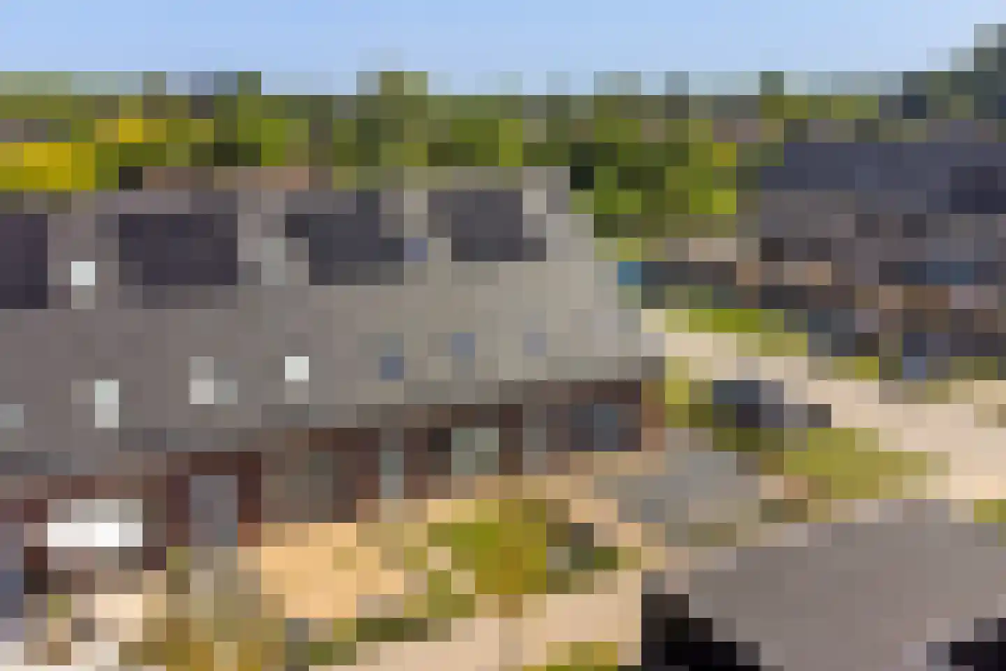 Rijshout 12 Doornenburg thumbnail 33