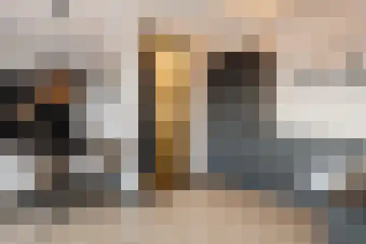 Rijshout 16 Doornenburg thumbnail 13