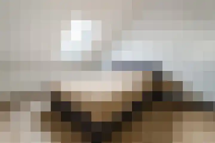 Rijshout 16 Doornenburg thumbnail 16