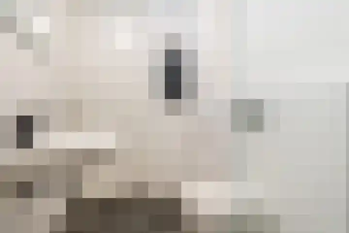 Rijshout 16 Doornenburg thumbnail 22